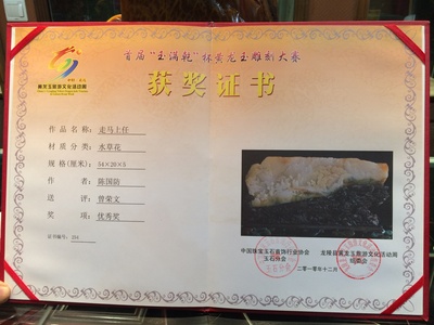 《走马上任》获奖证书